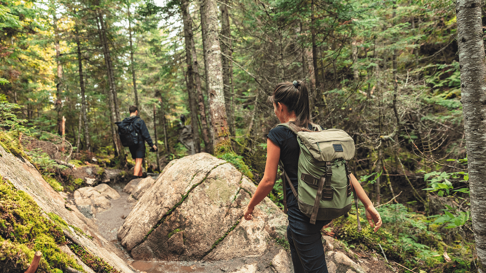 Two hikers on a forest trail, surrounded by lush green trees and mossy rocks. The scene conveys a sense of adventure and tranquility.