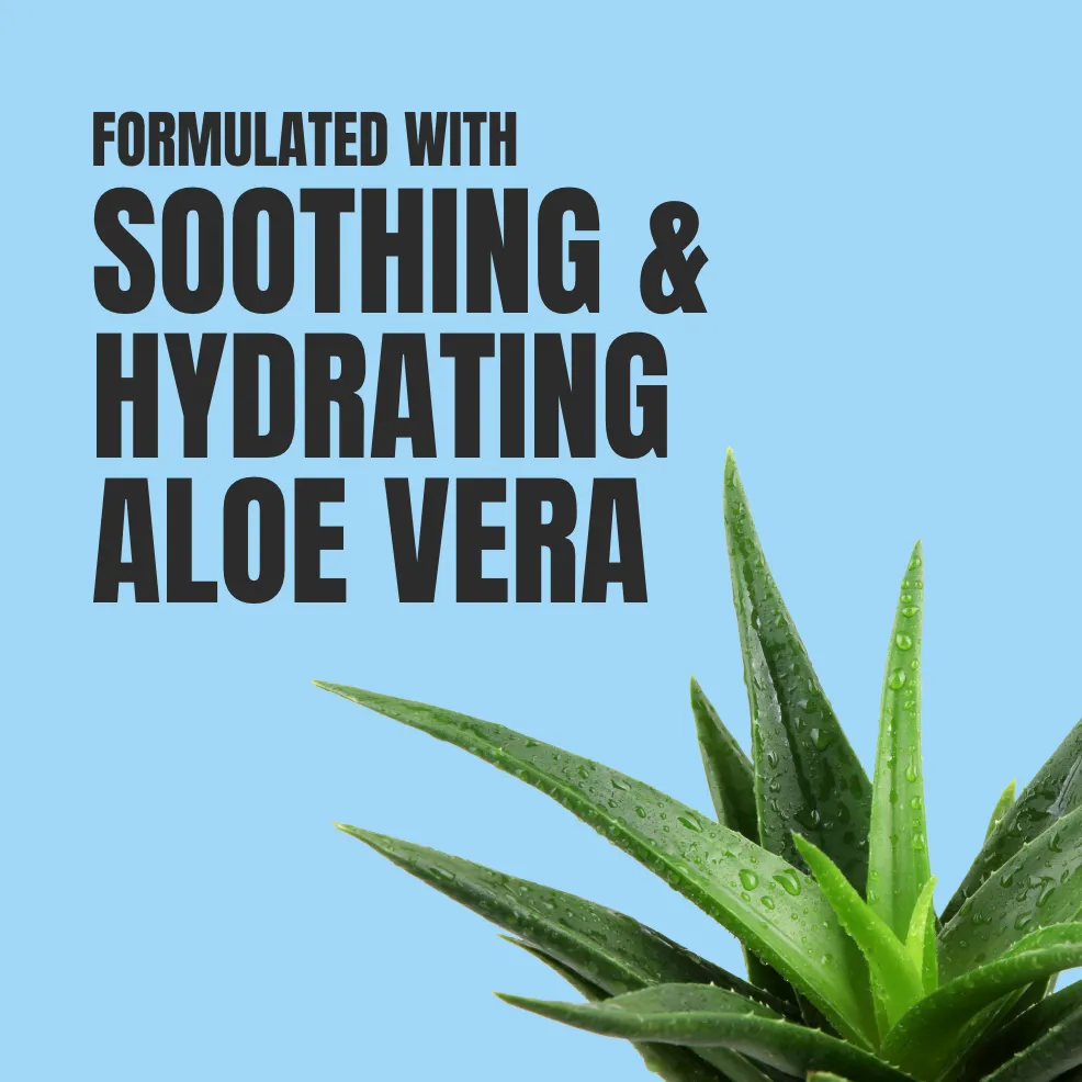 Text "Formulated with soothing & hydrating aloe vera" in bold black on a light blue background. A dewy aloe vera plant is visible at the bottom right.