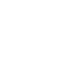 Previous Icon